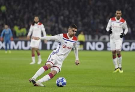 定数量的免 定数量的免